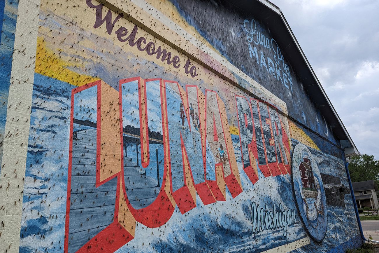mayflies on a mural saying "Welcome to Luna Pier"
