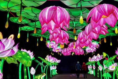 Lantern Festival in Grand Rapids