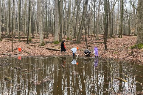 A group of people explore the edges of a vernal pool
